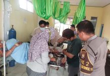 Sedang Menyadap Karet, Petani di Bengkulu Utara Diserang Beruang