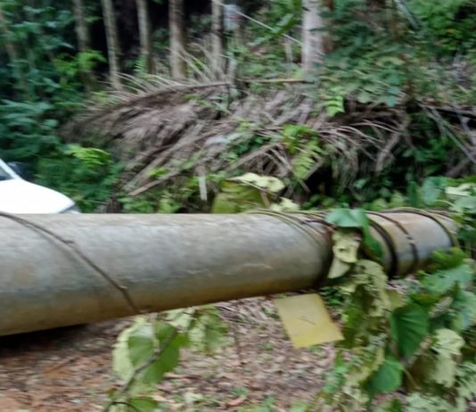 Cuaca Ekstrem, Aliran Listrik PLN Berdampak
