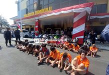 42 Tersangka Ops Musang Nala Berhasil Ditangkap Polresta Bengkulu