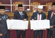APBD 2020 Fokus Lampu dan Jalan