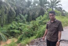 Tinjau Jalan Ketahun – Napal Putih, Berlian: Sudah Sepakat Segera Kita Dibangun