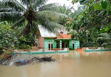 Tingginya Intensitas Hujan, Belasan Rumah Terendam Banjir