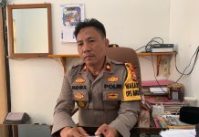 Perpanjangan Kontrak Honorer, Segera Lapor Jika Ada Indikasi Pungli