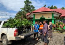 Dukung 100 Hari Kerja Bupati Seluma Terpilih, Perusahaan Salurkan Bantuan Bibit Perkebunan