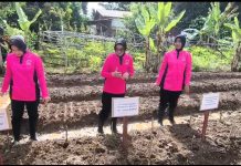 Dukung Ketahanan Pangan Nasional, Bhayangkari Kota Bengkulu Tanam Sayuran