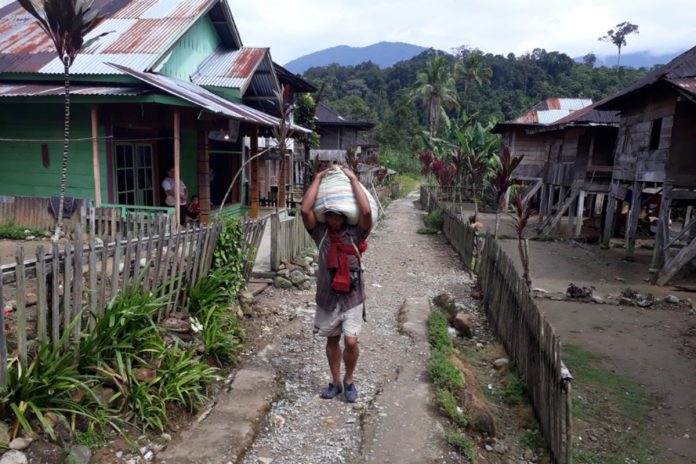 2470336898 Capung di Desa Sungai Lisai/ist