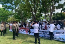 Tuntut Kejelasan Seleksi PPPK Tahap II, Ratusan Honorer Demo Depan Kantor Bupati Seluma