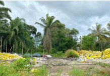 Diduga Cemari Lingkungan di Kota Bengkulu, PT Elang Hijau Bengkulu Sejahtera Resmi Dilaporkan