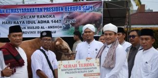 Sapi Kurban Presiden Diserahkan di Bengkulu, Pemprov Doakan Prabowo Sukses Memimpin Indonesia
