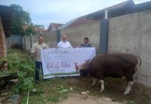 Semangat Idul Adha 1447 H, Mercure Bengkulu Perkuat Aksi Sosial & Lingkungan