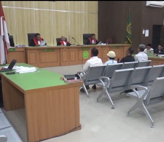 Dugaan Mega Korupsi Pertambangan Jilid 2, Terungkap Warga Autralia Aktor Intelektual