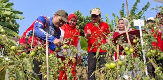 Solusi Ditengah Efisiensi, Kebun Bantu Rakyat Jadi Contoh Pemanfaatan Pekarangan OPD Provinsi Bengkulu