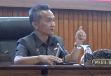 80 Ribu Bibit Sawit Gratis Program Bupati Kaur Dipastikan Akhir Tahun Tuntas Didistribusikan